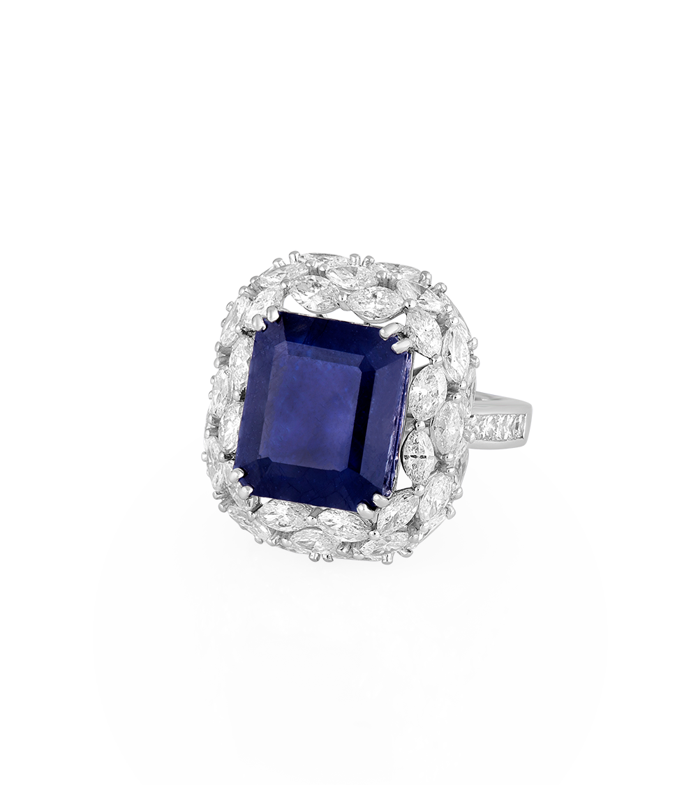 an odyssey of dreams enquire 25