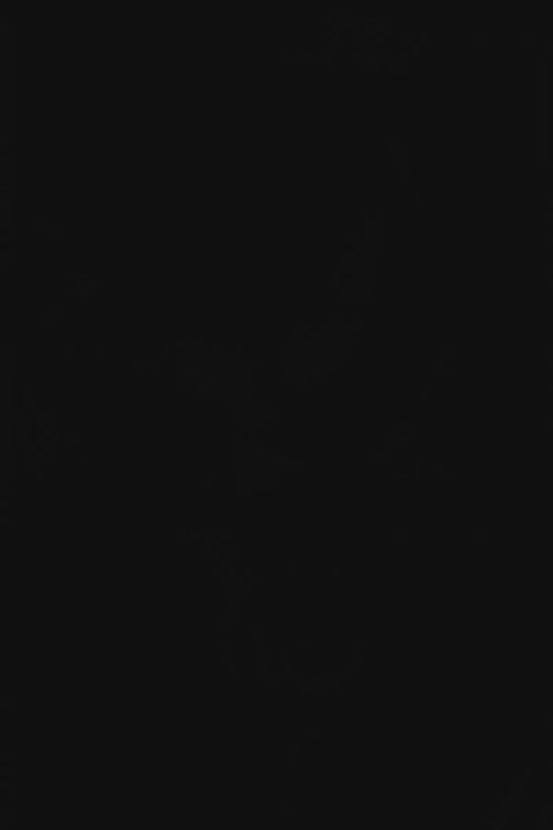 HZL-Luminara-Collection-grid-video-4
